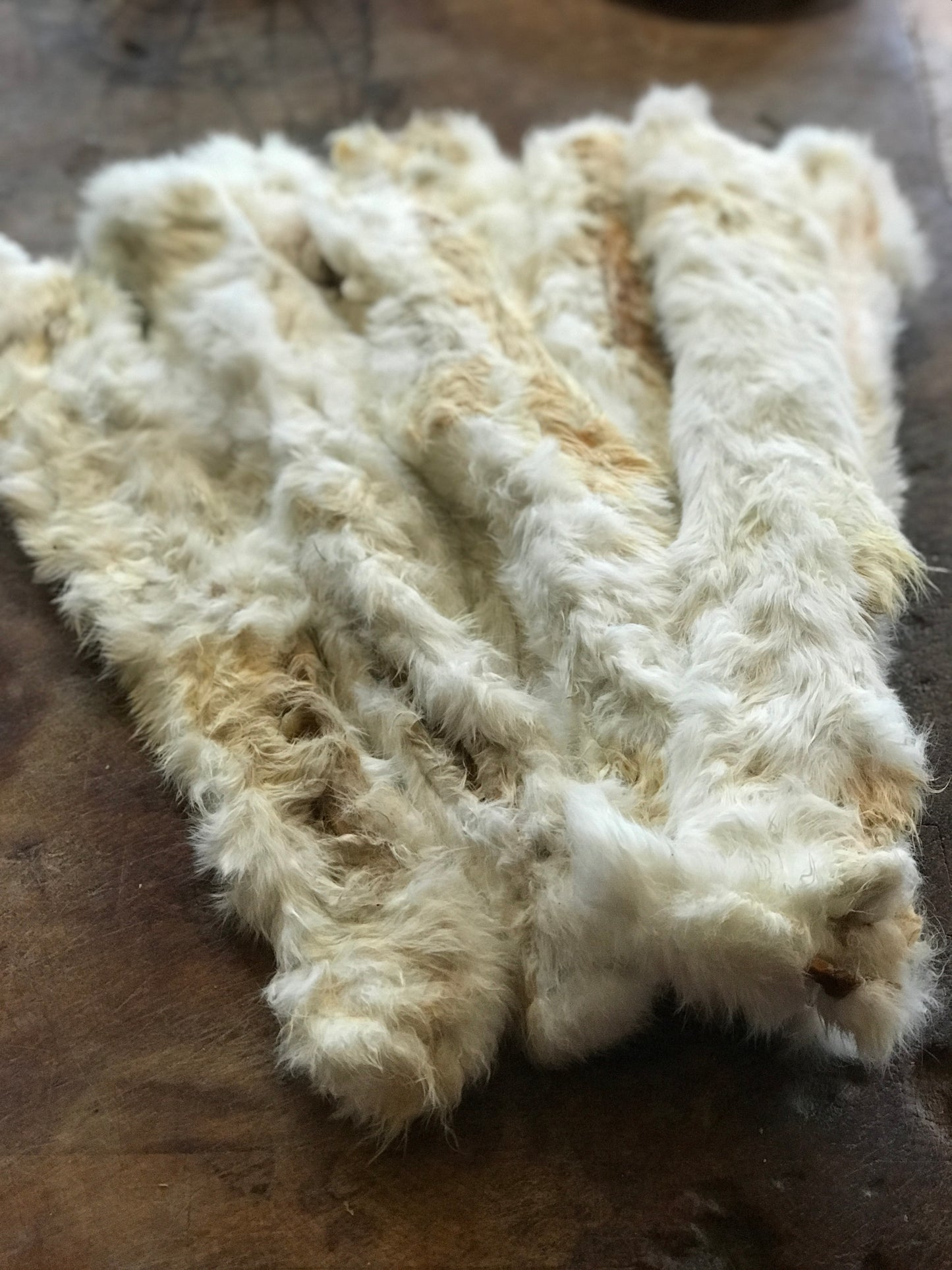 Whole Rabbit Skins with Fur (50cm)
