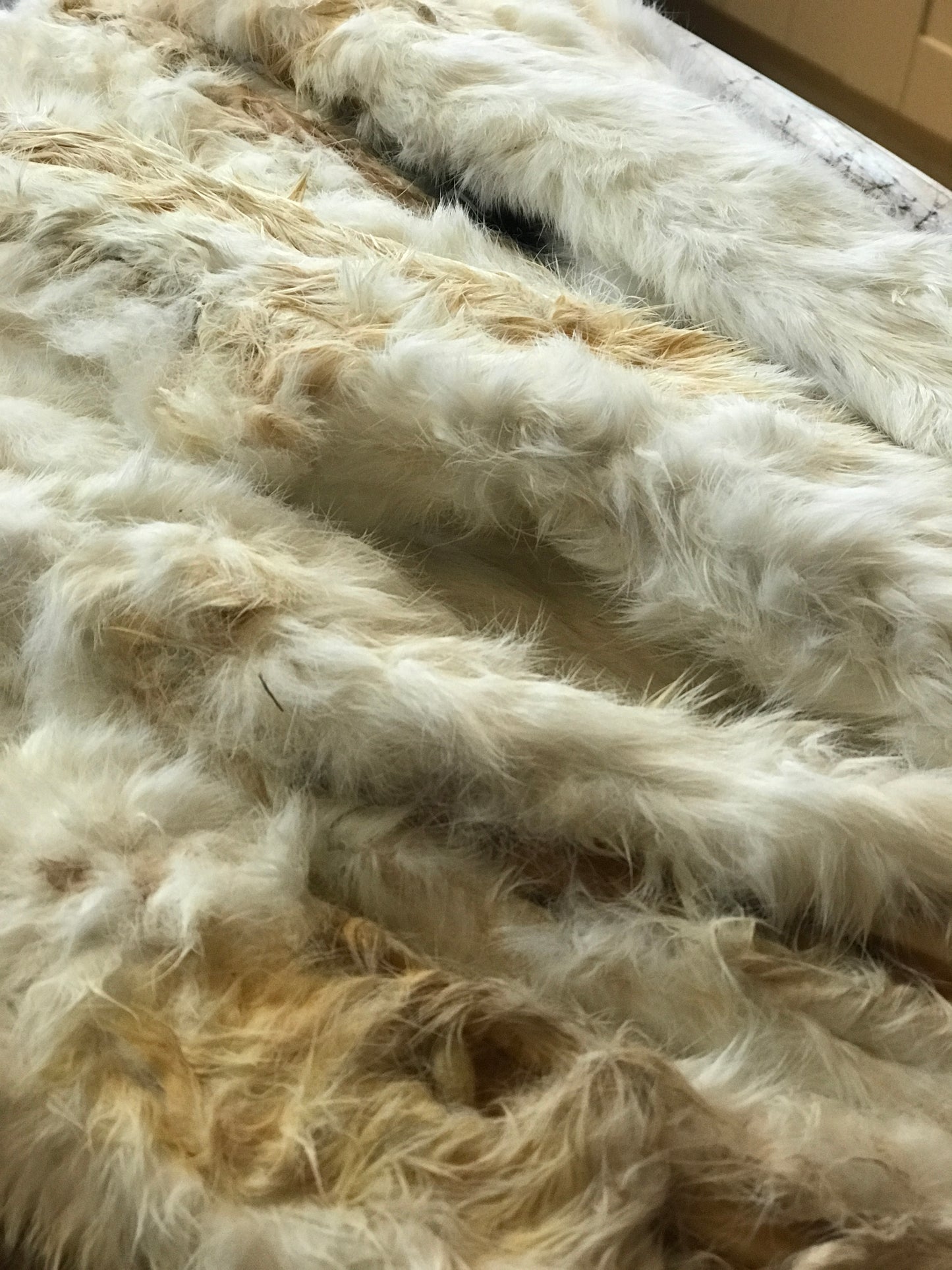 Whole Rabbit Skins with Fur (50cm)