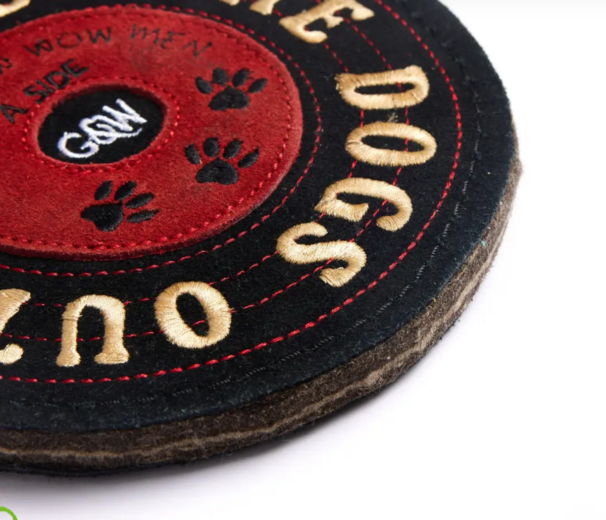 Vinny the Vinyl, Eco Dog Toy