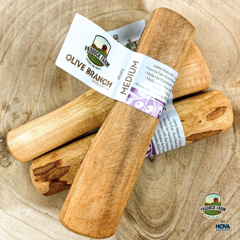 Olive Wood Chew