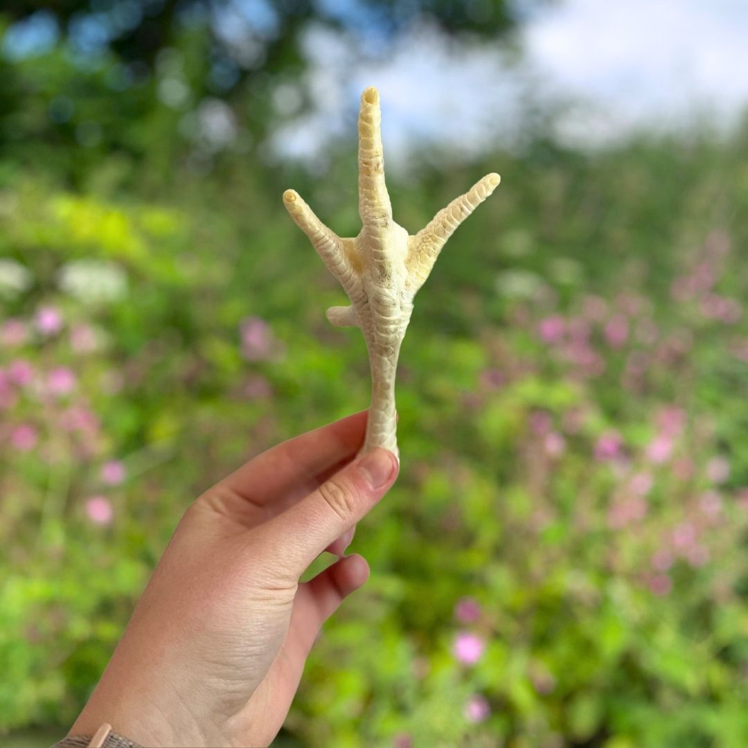 Puffed Chicken Feet 1kg