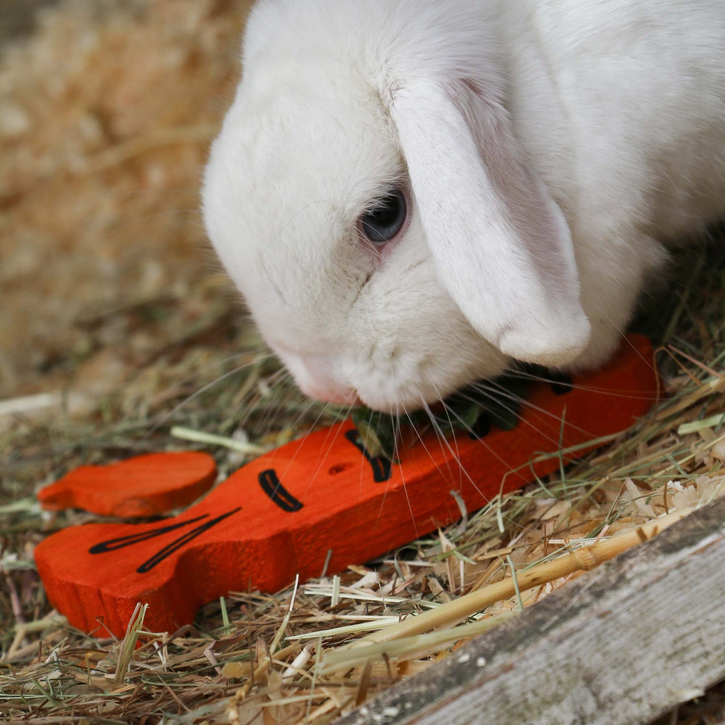 Carrot Cruncher Chew