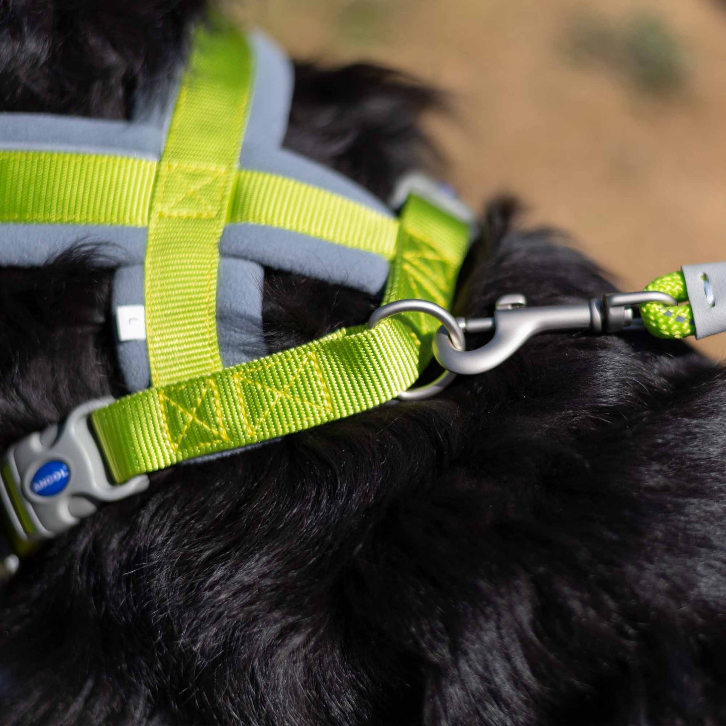 ANCOL Viva Padded Harness