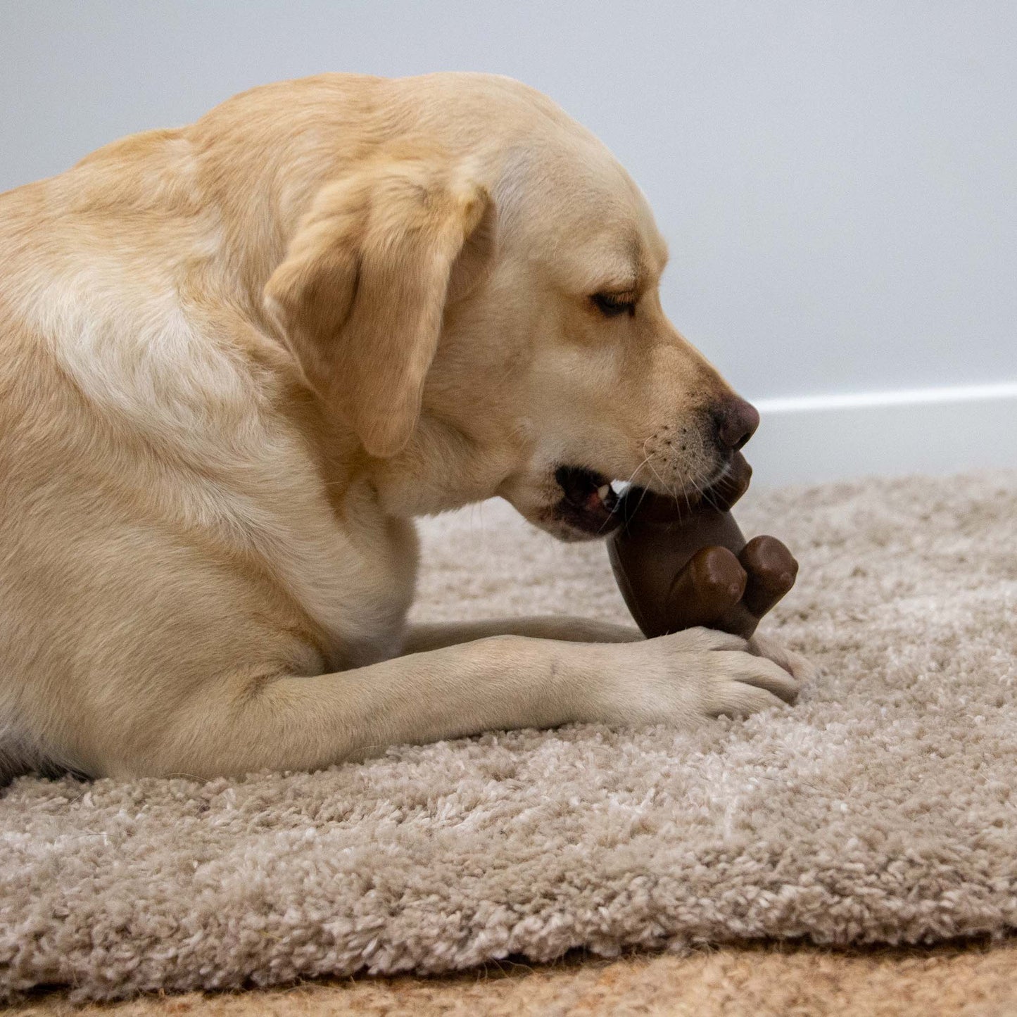 Tough Coffee Grounds Hippo