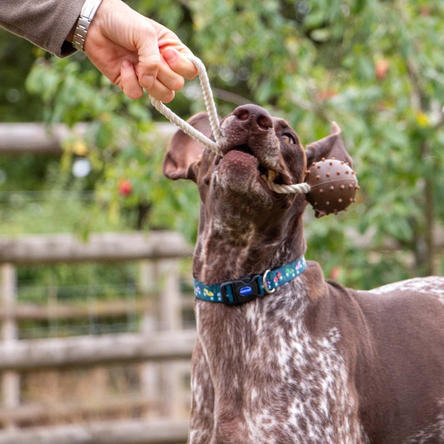 Tough Coffee Grounds Ropey Ball Tugger