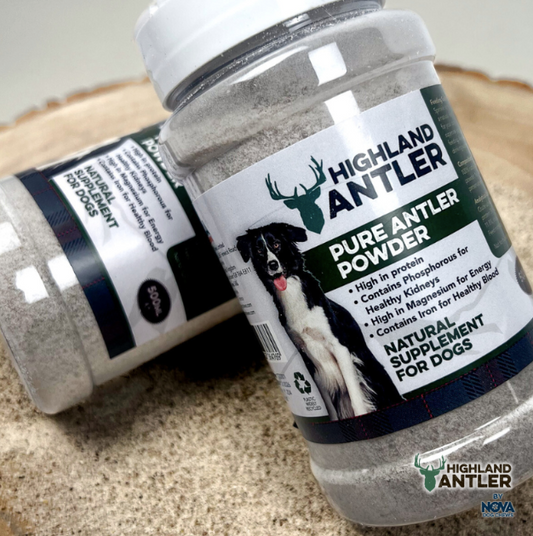 Pure Antler Powder (Supplement) 500ml