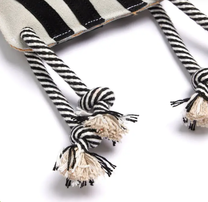 Zambezi the Zebra, Eco Dog Toy