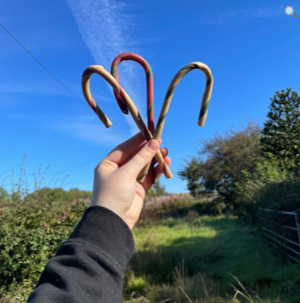 Christmas Candy Canes