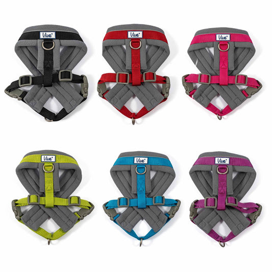 ANCOL Viva Padded Harness