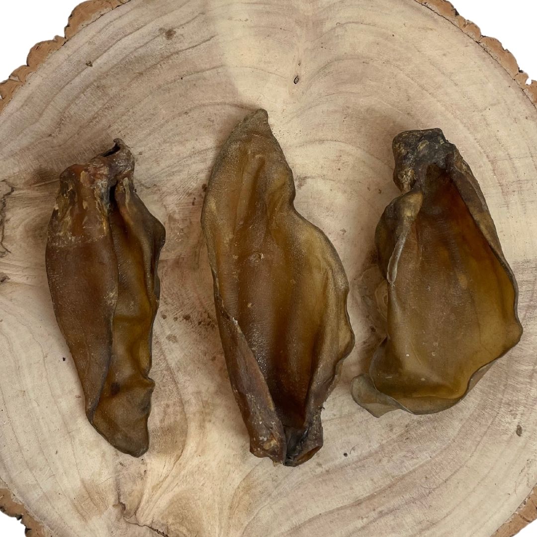 Buffalo Ears (pack of 10)