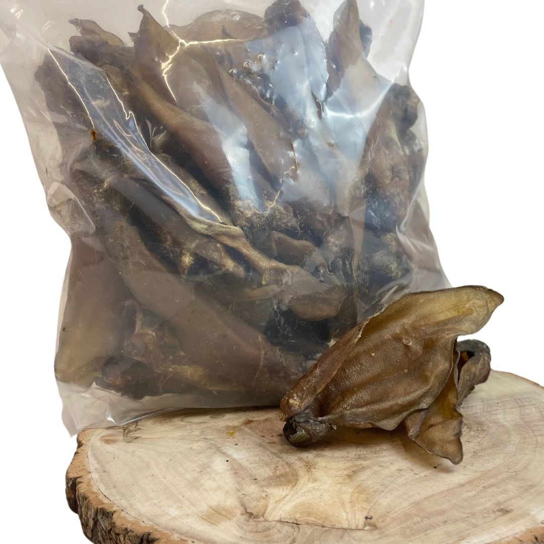 Buffalo Ears (pack of 10)