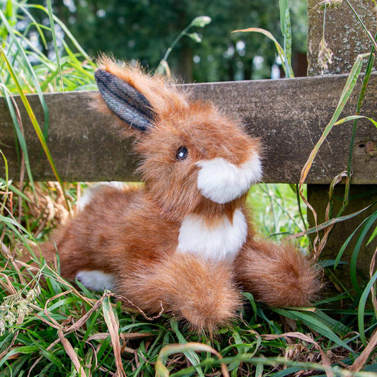 Heritage Harris Hare