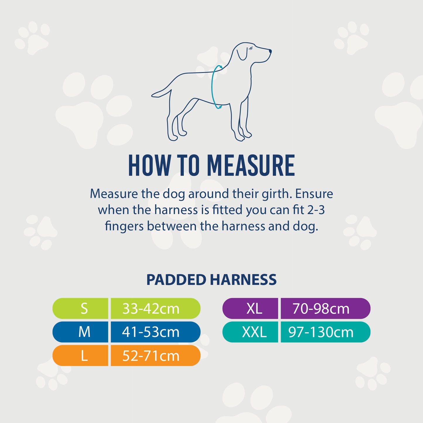 ANCOL Viva Padded Harness