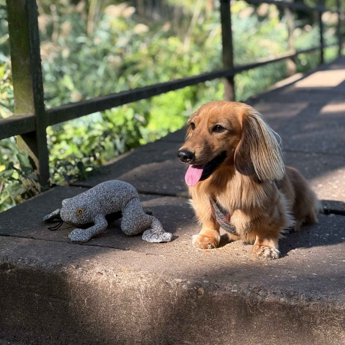 Heritage Toby Toad